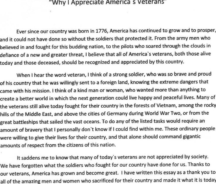 what is a veteran essay