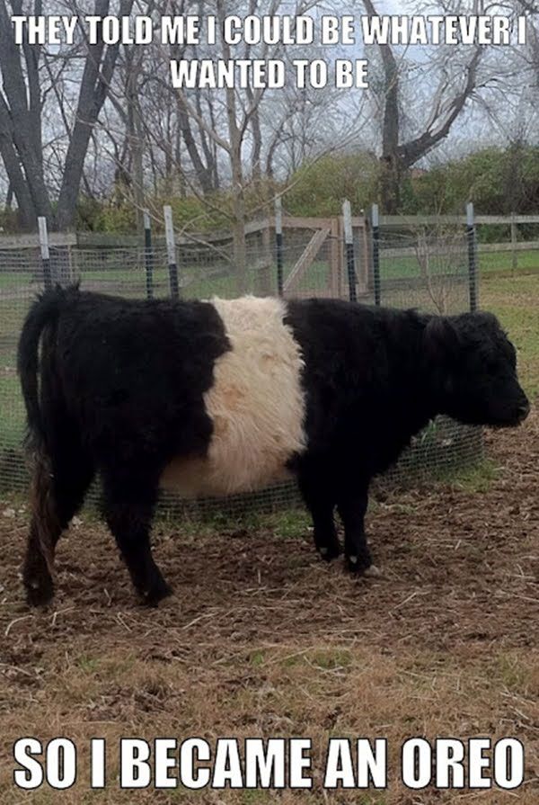 156 best farm humor images on pinterest farm humor, funny stuff 0eef3a93a8e87626a8cd886d7b91ea00 funny memes funny pics 156 best farm humor images on pinterest farm humor, funny stuff,Funny Barn Memes