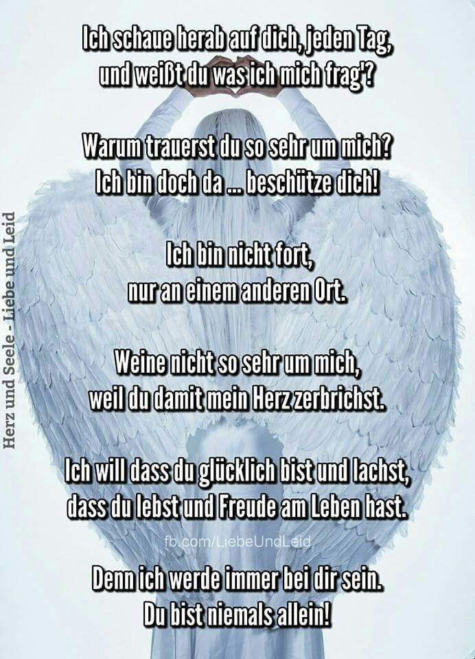 Ich will dich kennenlernen gedicht