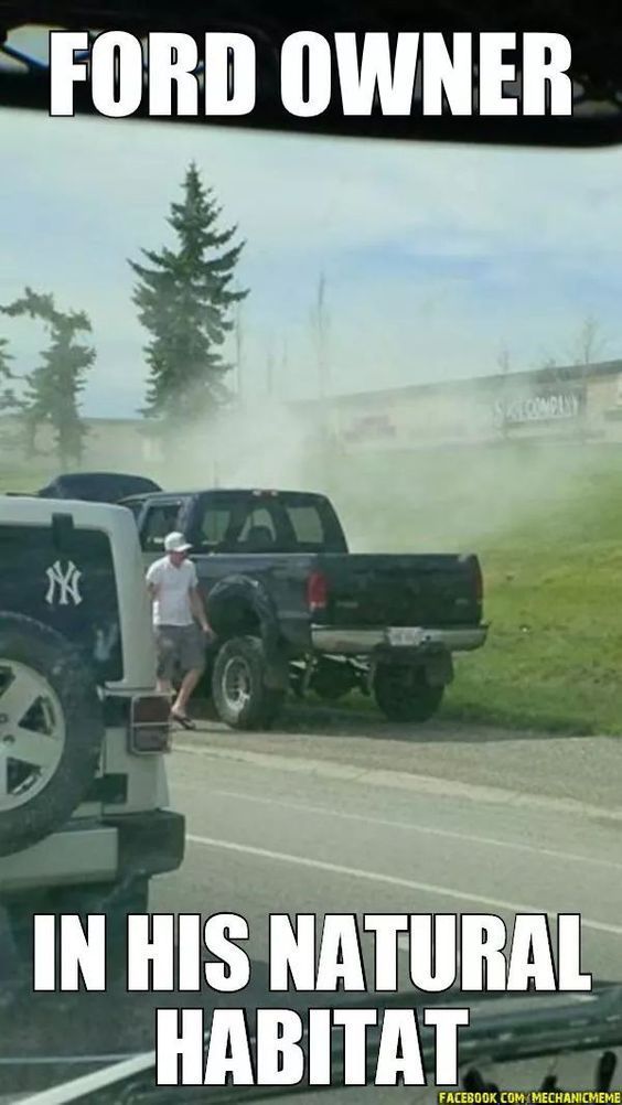 Best 25 Hilarious Ford memes Ford Memes Ford humor, Truck memes jpg (564x1002)
