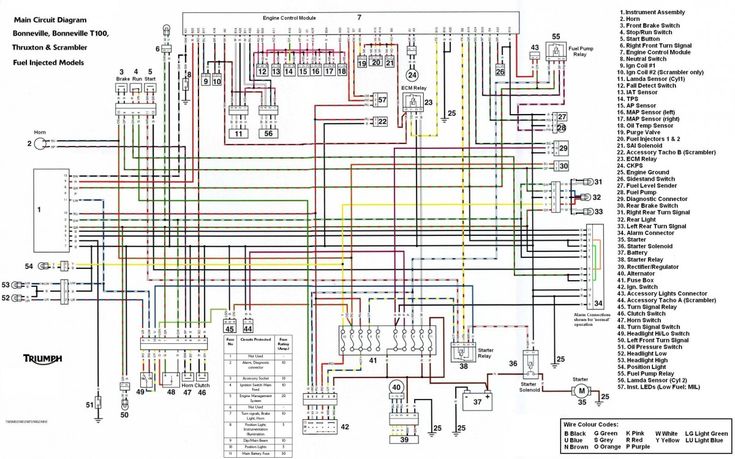Diagram 2010 Bonneville Ecu Pinout Diagram
