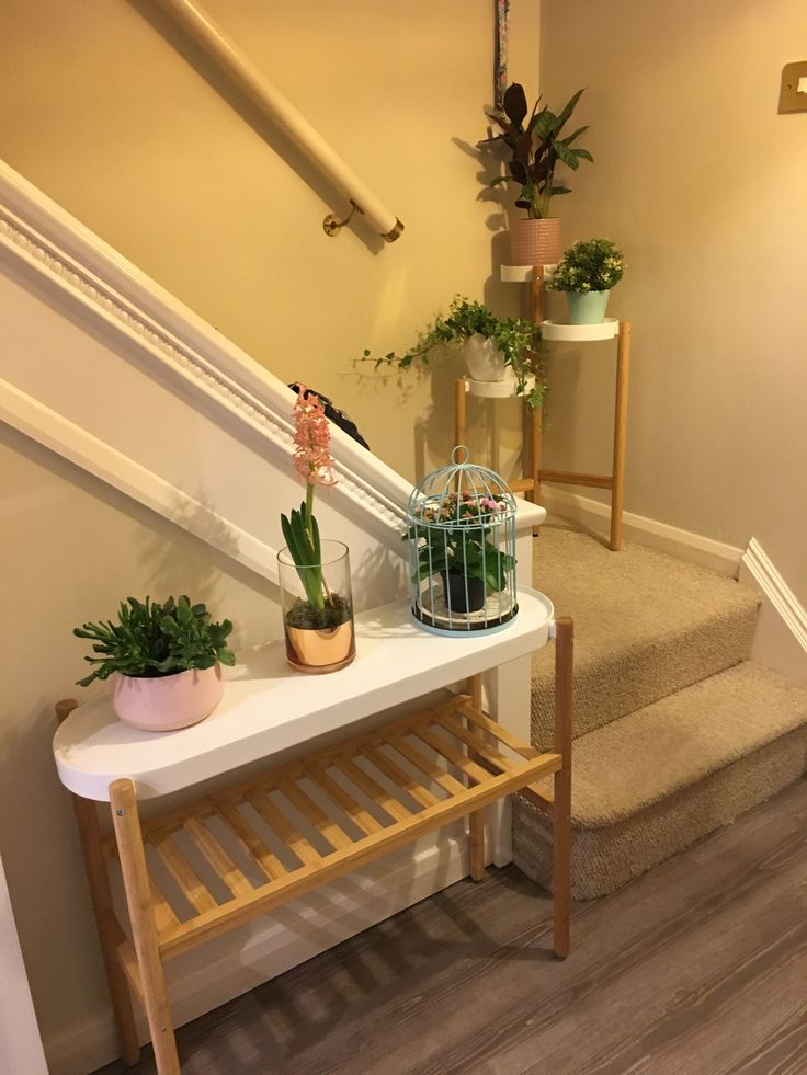 IKEA Satsumas plant stands Ikea plants, Front room