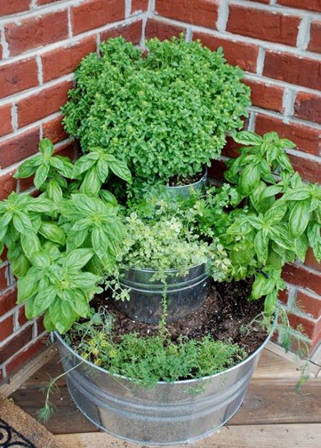 Flower Garden Ideas For Small Spaces best 25+ small space gardening ideas only on pinterest | when to Flower Garden Ideas For Small Spaces best 25+ small space gardening ideas only on pinterest | when to