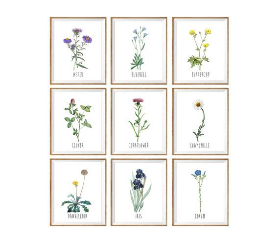 Boho Flower Print,Fall Decor Botanical Prints,Abstract Daisy Wildflowers Illustration Print,Minimalist Wall Art Bedroom,Printable Poster