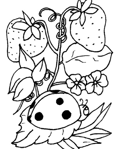 105 best Homeschool Colouring pages images on Pinterest Coloring - fresh hello kitty ladybug coloring pages 105 best Homeschool Colouring pages images on Pinterest Coloring - fresh hello kitty ladybug coloring pages