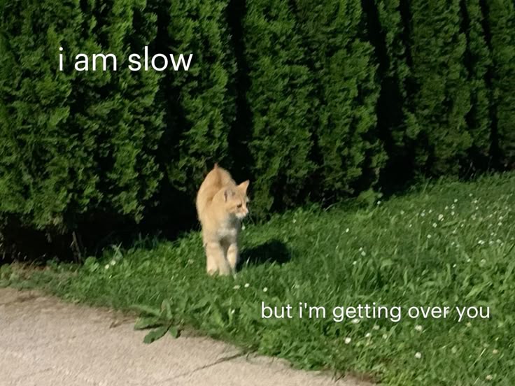 I Am Slow But I m Getting Over You Buben i-am-slow-but-i-m-getting-over-you-buben