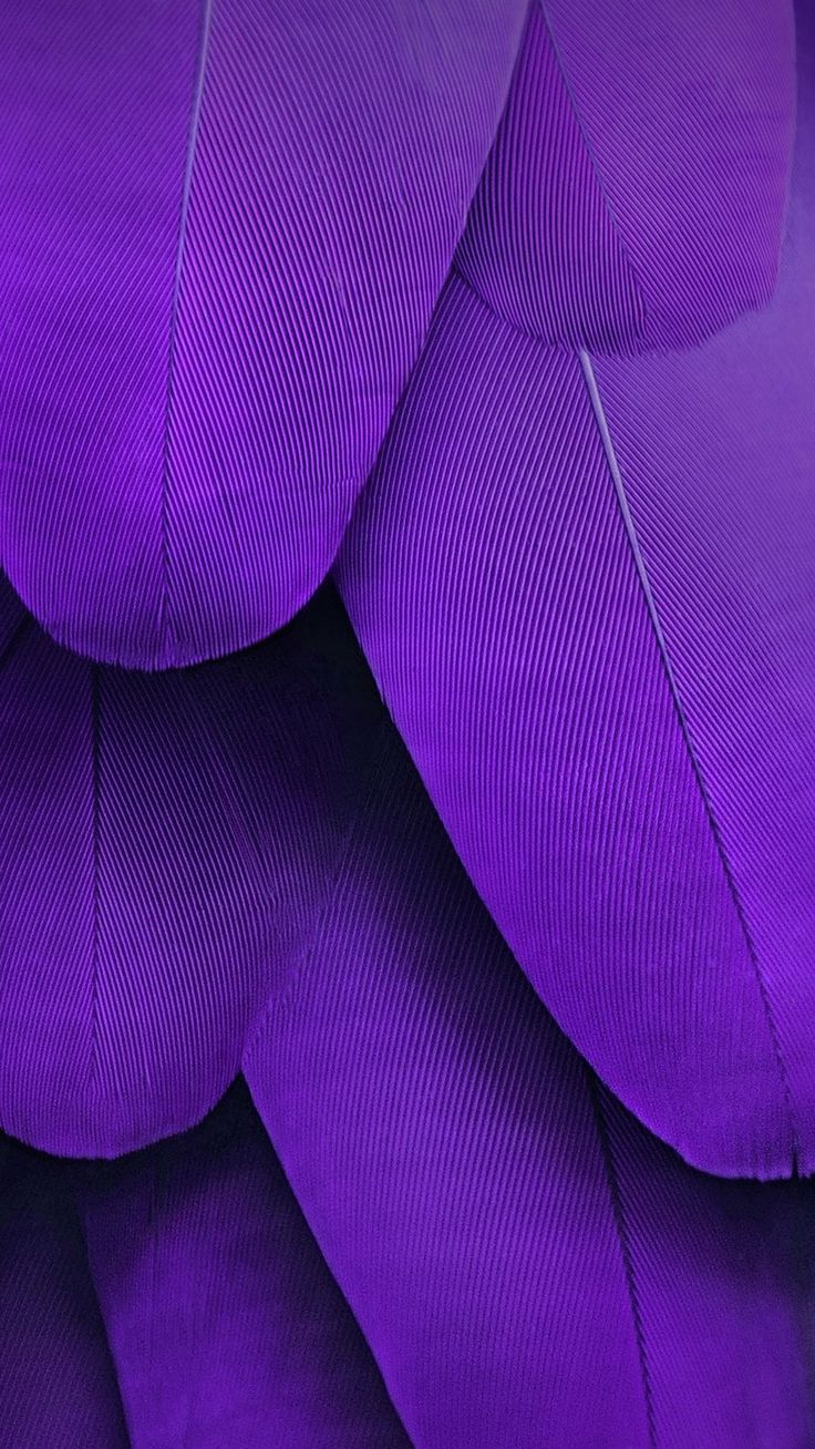 ultra violet colour of