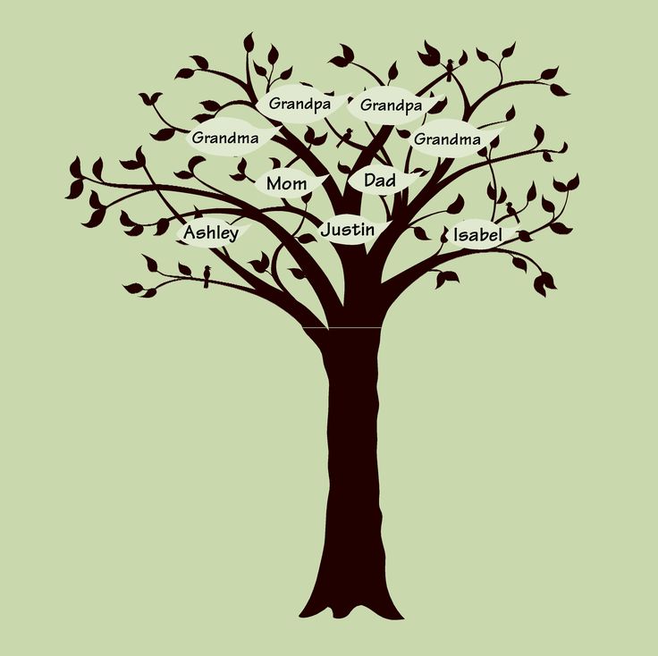 how to draw a family tree on paper