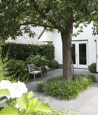 19 best Liriope Landscaping images on Pinterest | Garden ideas ... 19 best Liriope Landscaping images on Pinterest | Garden ideas ...