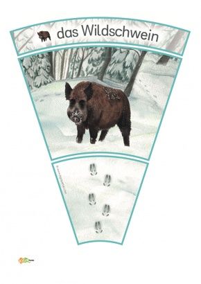 Tiere kennenlernen im kindergarten
