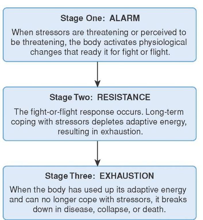 the fight or flight syndrome Fight-or-flight response: fight-or-flight response, response to an acute threat to survival that is marked by physical changes, including nervous and endocrine. the fight or flight syndrome Fight-or-flight response: fight-or-flight response, response to an acute threat to survival that is marked by physical changes, including nervous and endocrine.