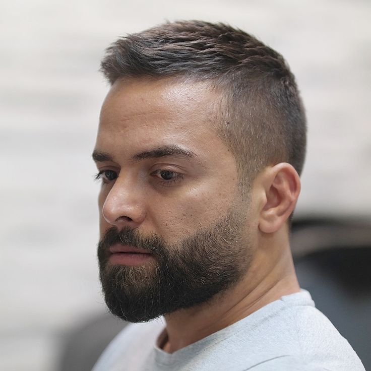 Image of Cropped haircut with beard