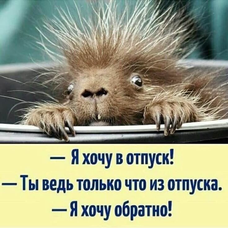 Прикольное Фото Хочу Прикольное Фото Хочу