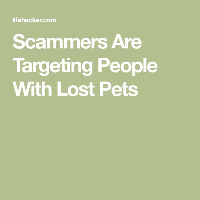 The 25+ best Lost pets ideas on Pinterest Pet loss quotes, Miss - lost pet poster The 25+ best Lost pets ideas on Pinterest Pet loss quotes, Miss - lost pet poster