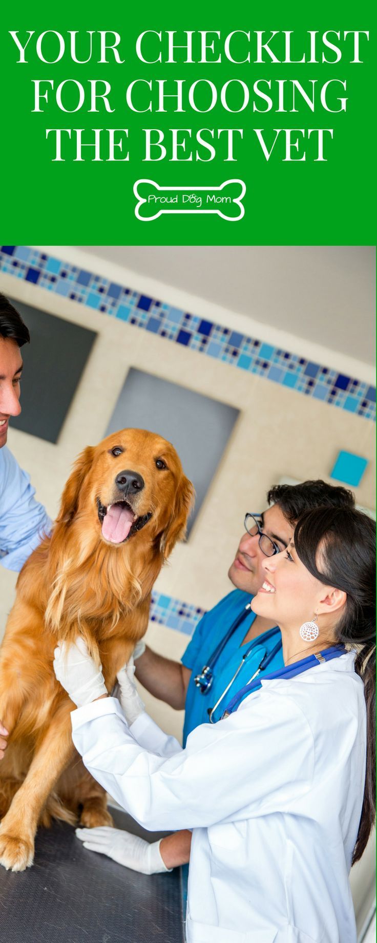 Your Checklist For Choosing The Best Vet Dog Care Tips Dog Care