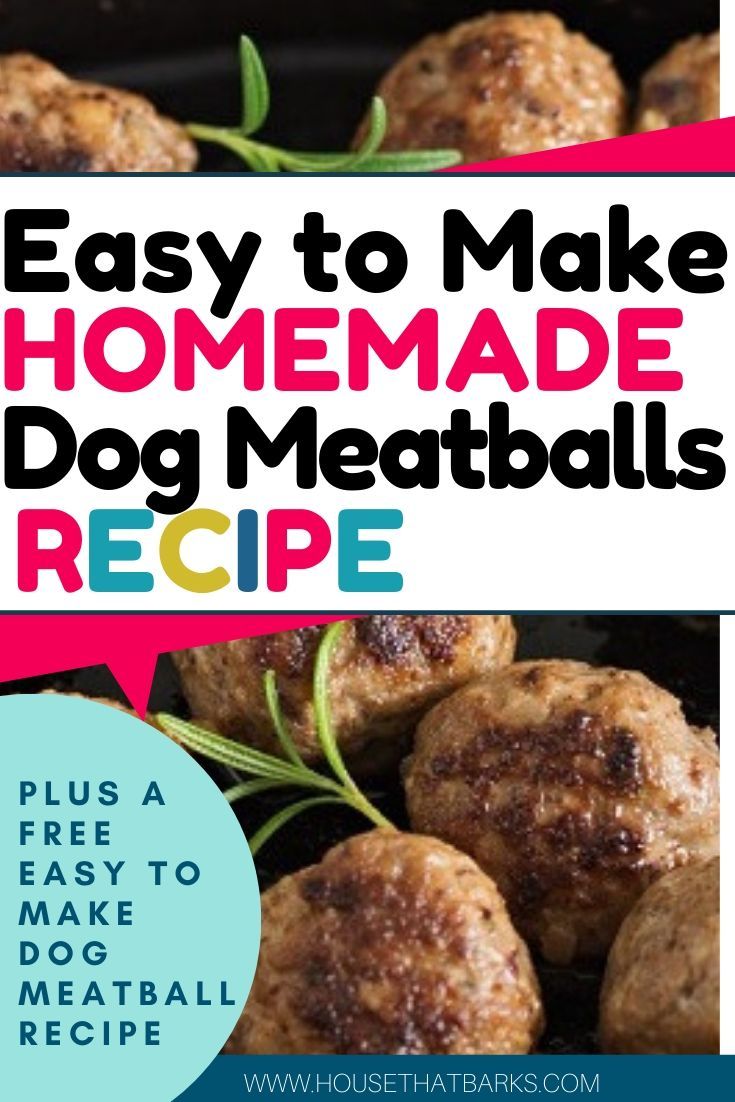 Daisy S Meatballs For Dogs Recipe Dog Food Recipes Homemade