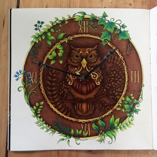 Enchanted Forest An Inky Quest Coloring Book Colored With Colleen 775 Pencil Crayons And Copic Markers