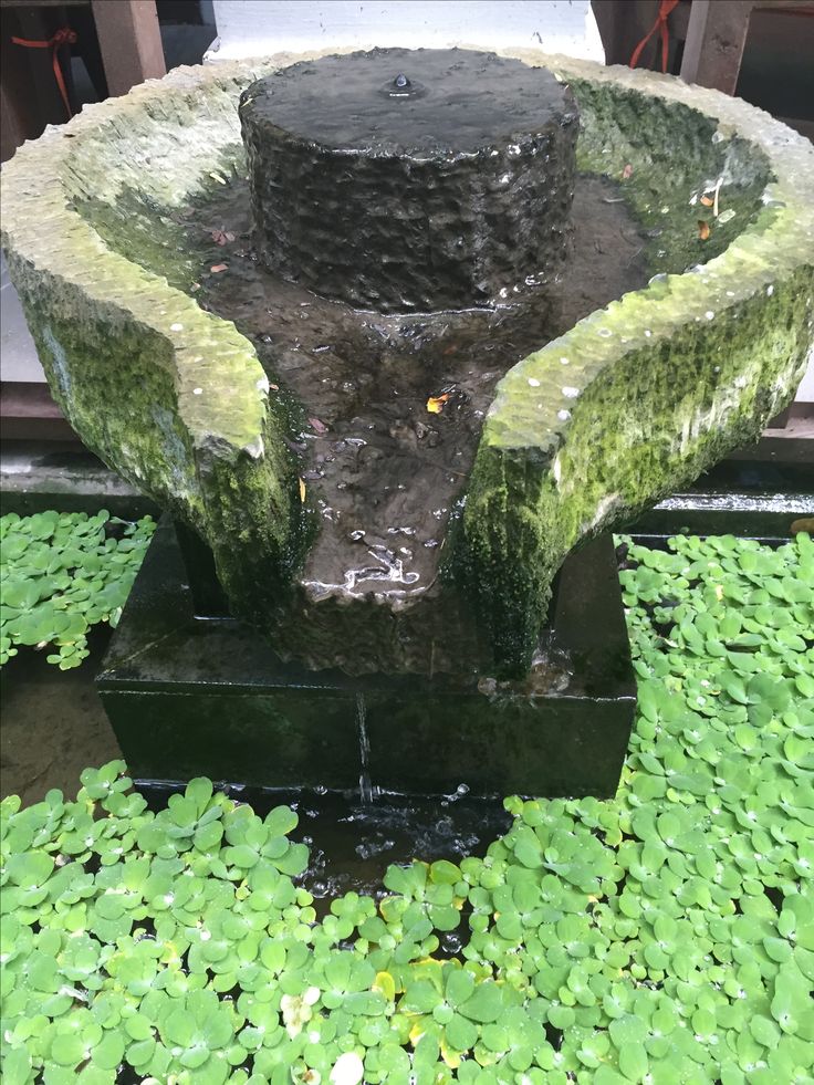 48 besten Wasser im Garten Bilder auf Pinterest Wasser im garten - gartenmauer mediterran verputzt 48 besten Wasser im Garten Bilder auf Pinterest Wasser im garten - gartenmauer mediterran verputzt