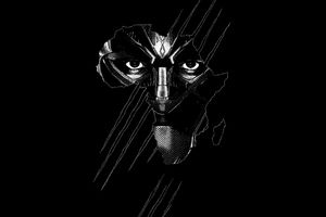 Unduh 8000 Wallpaper Black Panther 3d HD Paling Baru Unduh 8000 Wallpaper Black Panther 3d HD Paling Baru