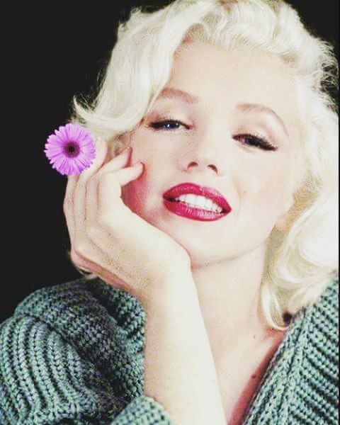 marilyn monroe bilder marilyn monroe bilder