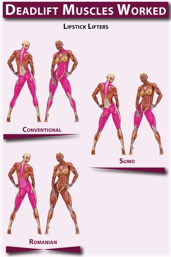 Deadlift Muscles Worked Deadlift muscles worked Deadlift