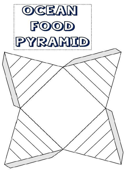 ocean food pyramid template for lapbook or notebook page oceans