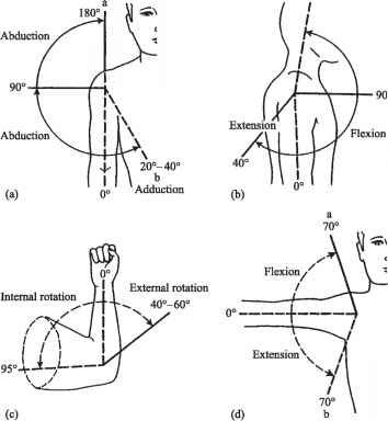 joint rom chart head circumference shoulder range of normal head circumference chart