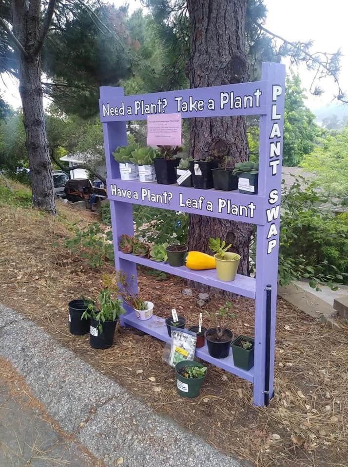 Free Plants Library Food Forest Garden Projects Free Plants Library Food, Mother Earth Garden Center