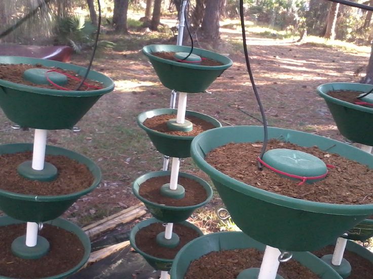 53 best hydroponic gardening images on pinterest 53 best hydroponic gardening images on pinterest