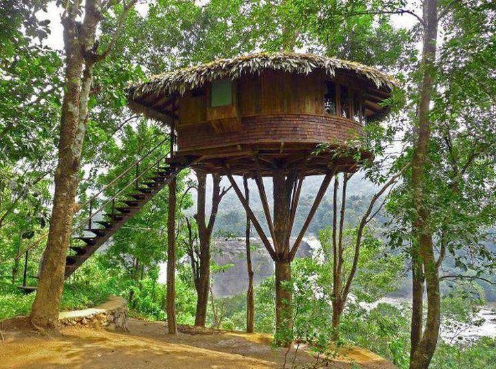 Nice Tree Houses 50 best tree houses images on pinterest | architecture, live and Nice Tree Houses 50 best tree houses images on pinterest | architecture, live and