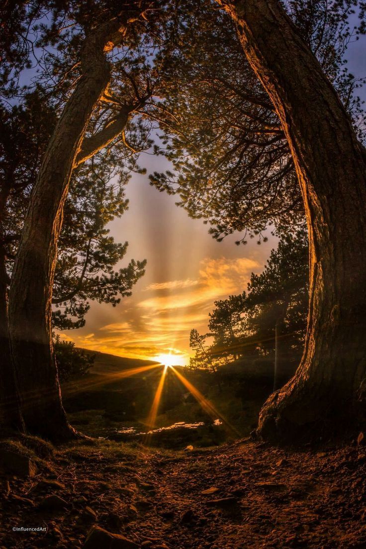 féérique coucher de soleil