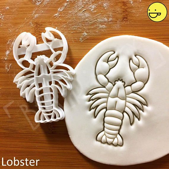 Disturbing Photos Show Rubber Tubbing Completely Filling Lobsters Stomach Sea Voice News Save Wildlife Stomach Rubber