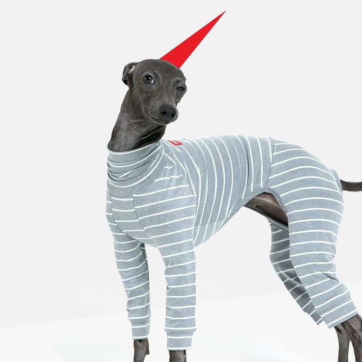 Rusty Doggy Onesie with Ultra Soft Fabric for Italian Greyhound /& Whippet Sweater