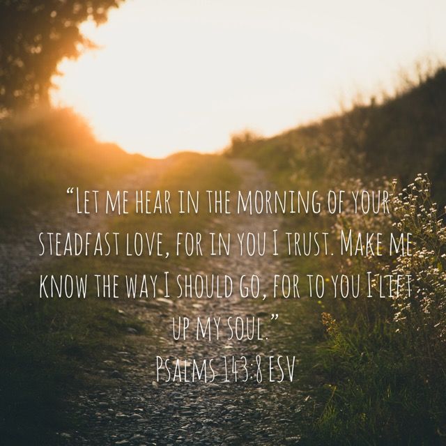 Psalm 143 8 ESV Psalms Bible Bible Apps psalm-143-8-esv-psalms-bible-bible-apps