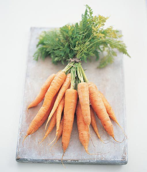 can yorkies eat carrots the 25 best breath remedies ideas on bad breath dogs remedies bad can yorkies eat carrots the 25 best breath remedies ideas on bad breath dogs remedies bad