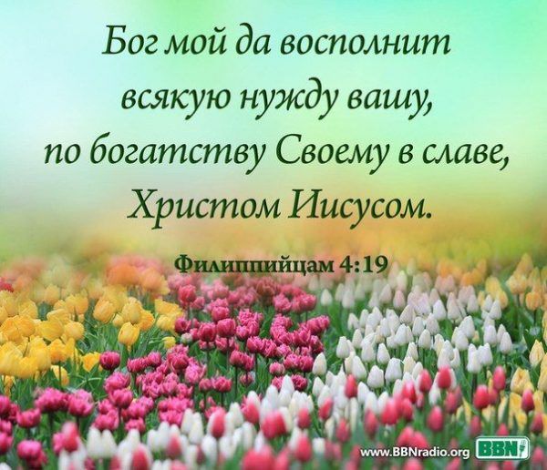 Ска доброе, картинки с пожеланиями из библии