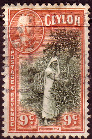 Ceylon 1935 King George V Picking Tea Fine Used SG 371 Scott 267 Other Asian and British Commonwealth Stamps HERE!