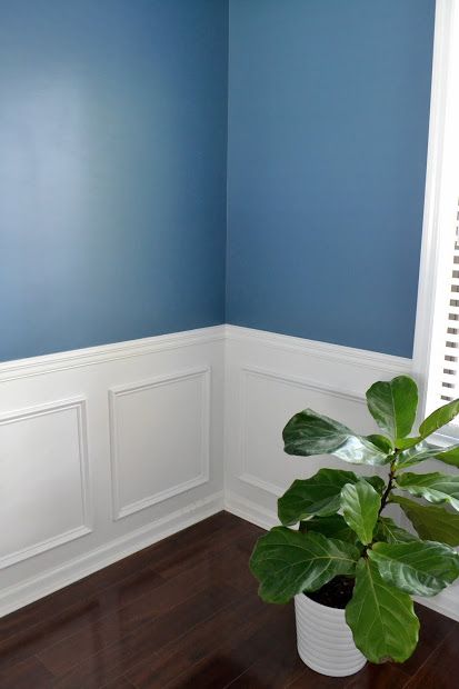 Best 25 Blue Dining Rooms Ideas On Pinterest Dinning Room Prepossessing Best Colors For A Dining Room Decorating Inspiration Best 25 Blue Dining Rooms Ideas On Pinterest Dinning Room Gorgeous Best Colors For A Dining Room Design Ideas