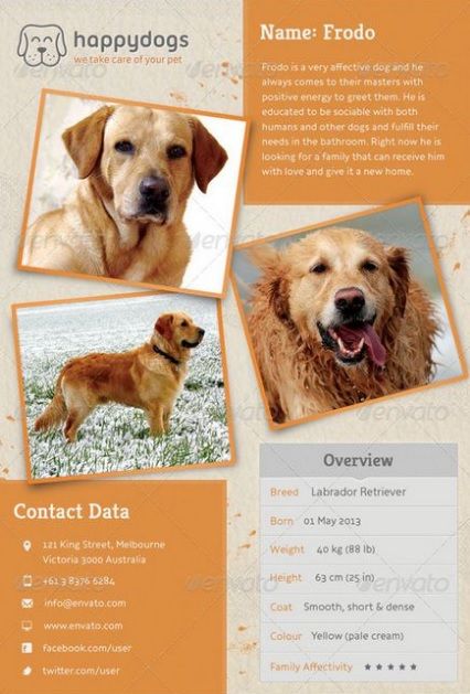 10 missing lost pet poster templates word excel pdf templates lost dog template free