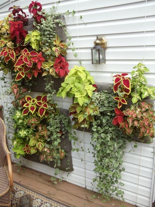 Hanging Wall Planter 144 best hanging wall planters images on pinterest | gardening Hanging Wall Planter 144 best hanging wall planters images on pinterest | gardening