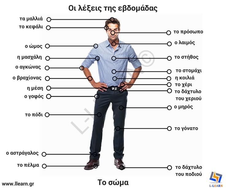 english on greeks Find greek translations in our english-greek dictionary and in 1,000,000,000 translations. english on greeks Find greek translations in our english-greek dictionary and in 1,000,000,000 translations.