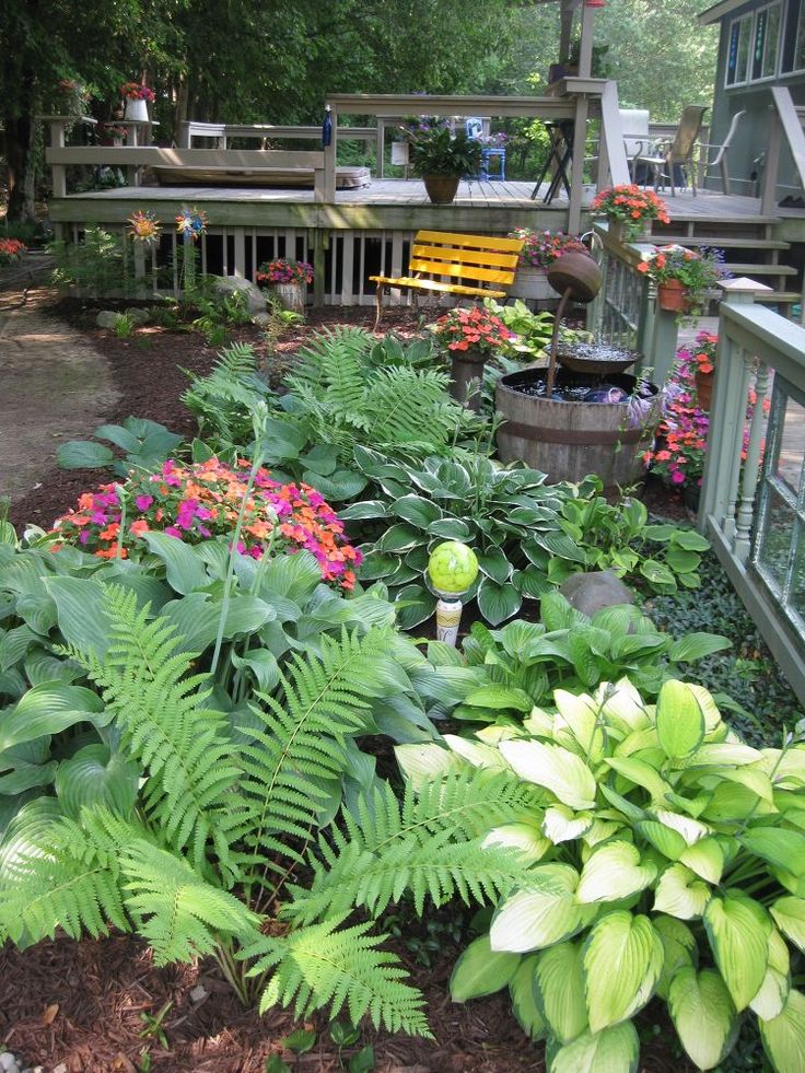 334 best Shade Garden Ideas images on Pinterest | Shade ... 334 best Shade Garden Ideas images on Pinterest | Shade ... on Shade Ideas For Backyard id=59906