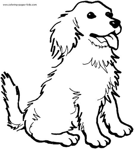 Download 15 best Puppy Bowl images on Pinterest | Coloring books ...