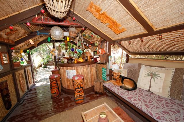 Best 25+ Tiki bar for sale ideas on Pinterest | Tool carts ... Best 25+ Tiki bar for sale ideas on Pinterest | Tool carts ... on Backyard Tiki Bar For Sale id=13506