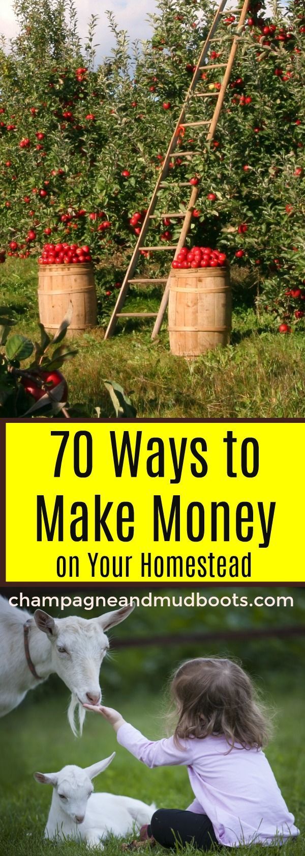 Ways to Make Money on a Homestead – Homesteading for beginners Ways to Make Money on a Homestead – Homesteading for beginners