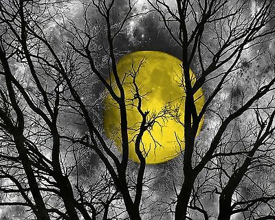 Black white green moon tree wall art print home decor matted picture Black white green moon tree wall art print home decor matted picture