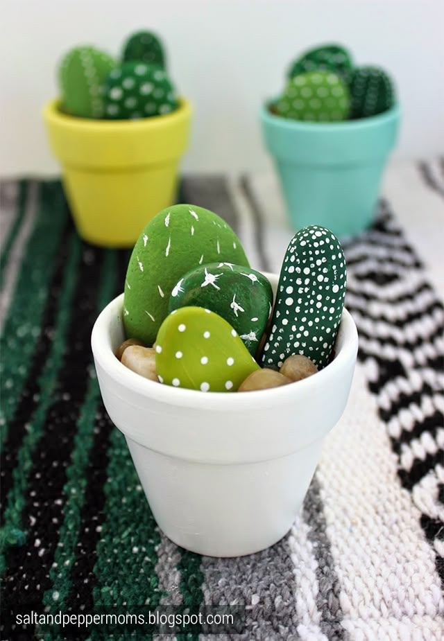 Des cactus vraiment très sobres ! / Stone Cacti.