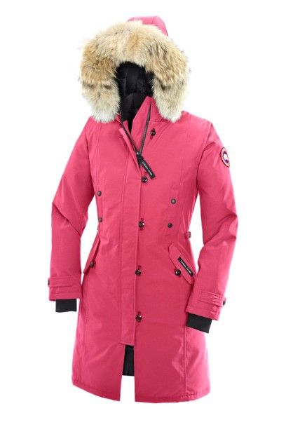 canada goose CHILLIWACK niskie canada goose CHILLIWACK niskie