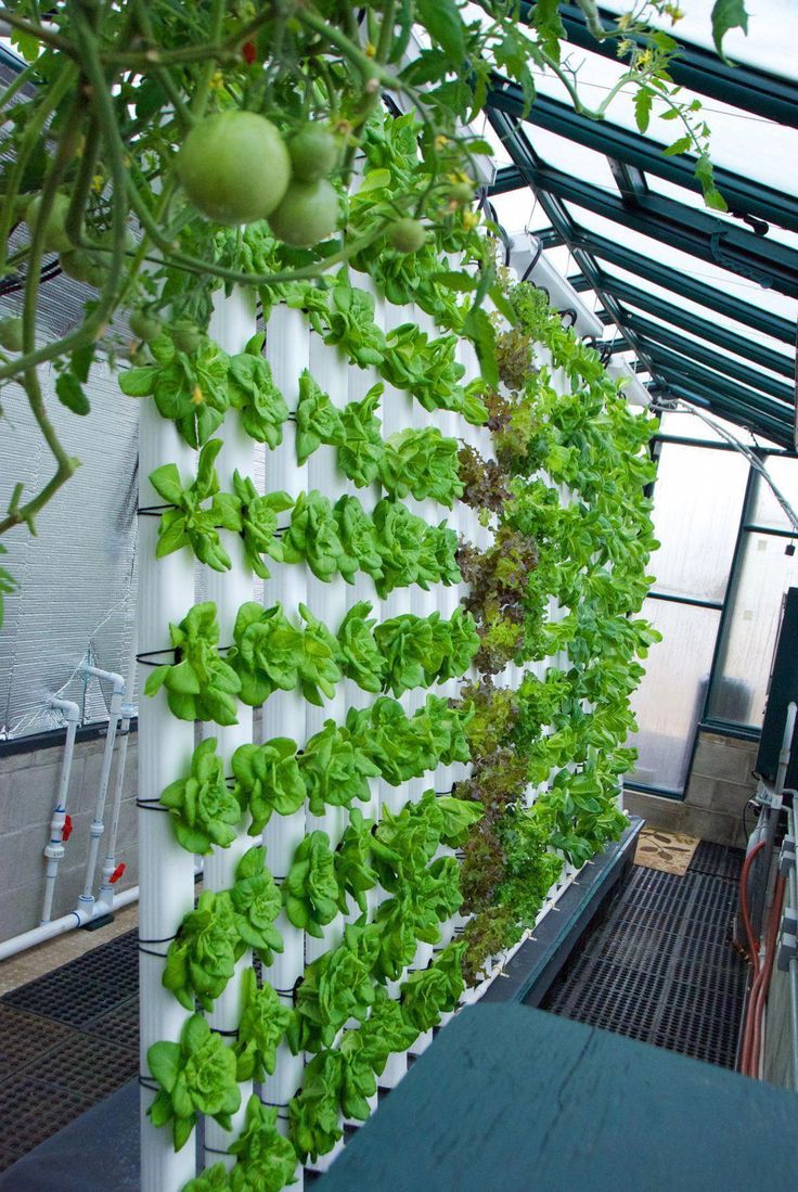 Code: 2437093022 #Aeroponics | Vertical vegetable gardens, Vertical