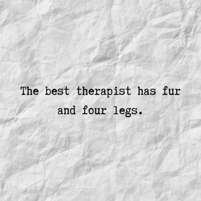 A Piece Of Paper With The Words The Best Therapist Has Fur And Four Legs A Piece Of Paper With The Words The Best Therapist Has Fur And Four Legs